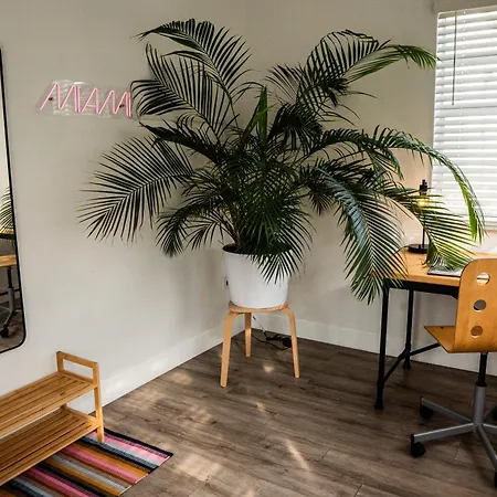 Casa Mia Central Location, Free Parking, Fully Equipped Miami Exterior foto